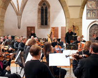 DSC07444 bearbeitet 1-1